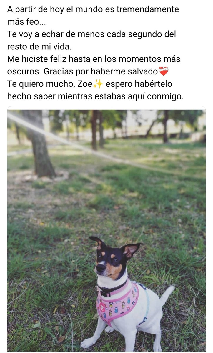 Dejo las palabras de mi sobrina porque... 😭
Zoe 🌈