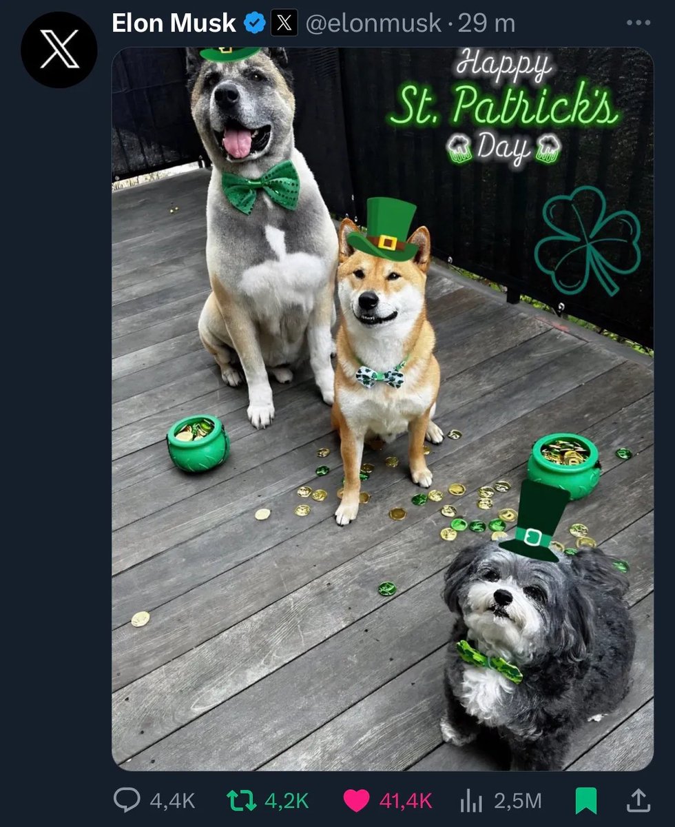 marvindogbase's tweet image. $MARVIN IS BOSSY

#MARVINTHEMARTIAN #ELONMUSK #SPACEX