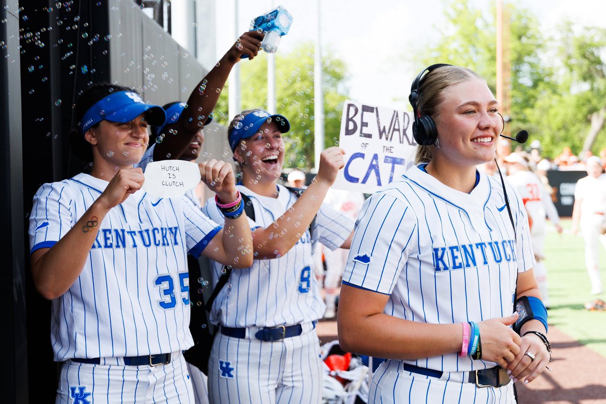 Beware of the Cats 😼