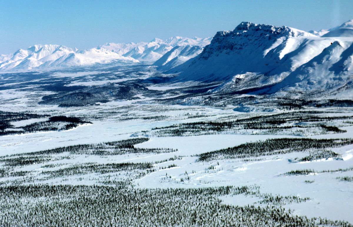 Action for Earth (@actionforearth) on Twitter photo Action to defend Alaska Wilderness from the massive "Willow" oil project. act.defenders.org/page/50842/act… <a href="/Defenders/">Defenders of Wildlife</a> Action to defend Alaska Wilderness from the massive "Willow" oil project. act.defenders.org/page/50842/act… <a href="/Defenders/">Defenders of Wildlife</a>