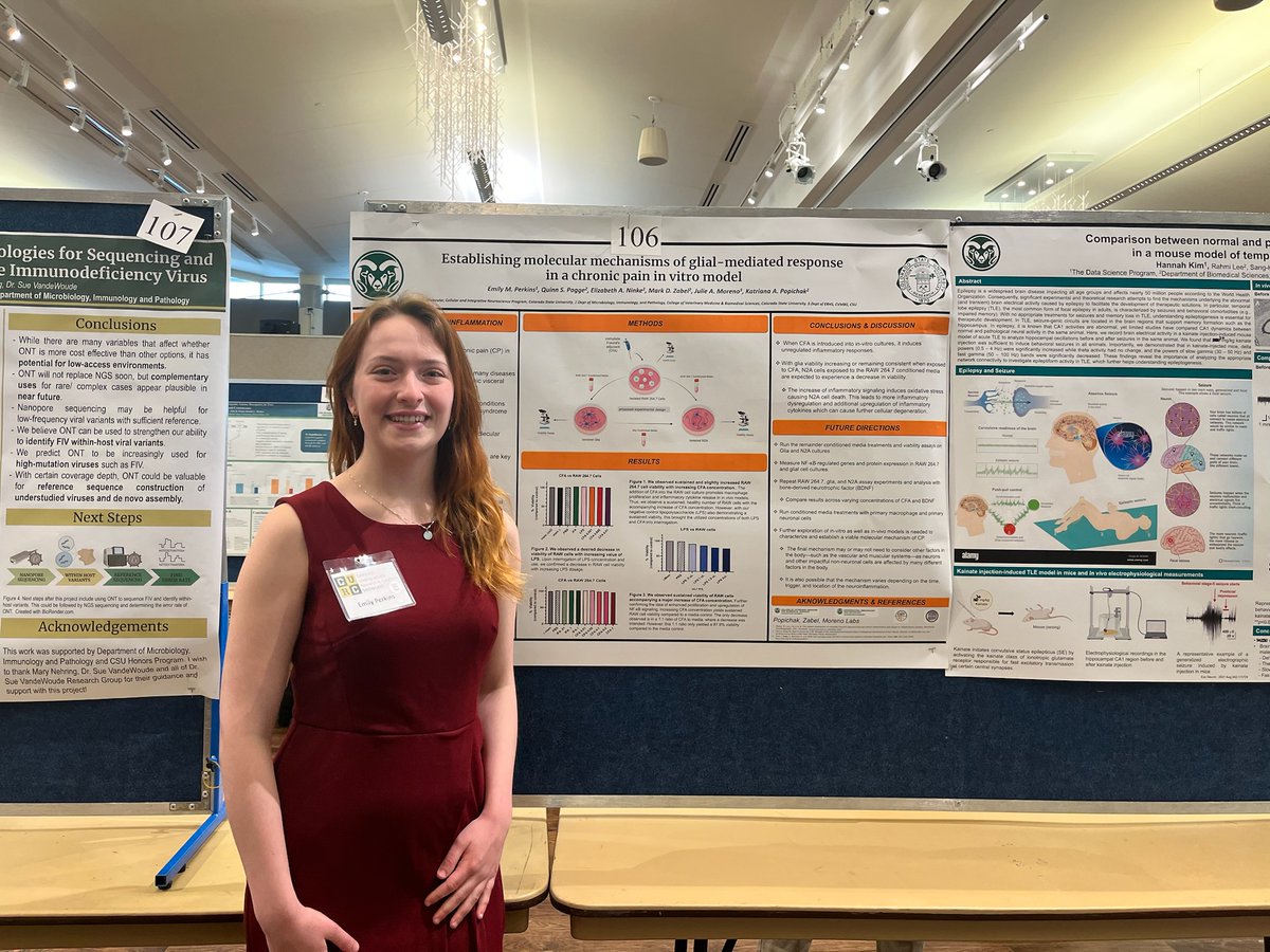 CSU_MIP's tweet image. Congratulations to 2024 Celebrating #UndergraduateResearch &amp;amp; #Creativity (#CURC) award winners in #MIP! 

🏆Best in Show: Emily Perkins
🌟Highest Honors:  Zoe Atkinson&amp;amp; Paris Kiehl
🙌 @CSUVetMedBioSci Honors: Lauren Bennett, Michelle Galvan, Sydney Johnson &amp;amp; Genova Mumford.
