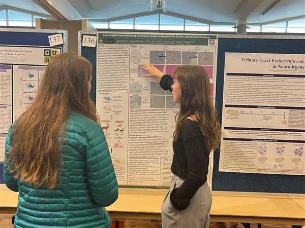 CSU_MIP's tweet image. Congratulations to 2024 Celebrating #UndergraduateResearch &amp;amp; #Creativity (#CURC) award winners in #MIP! 

🏆Best in Show: Emily Perkins
🌟Highest Honors:  Zoe Atkinson&amp;amp; Paris Kiehl
🙌 @CSUVetMedBioSci Honors: Lauren Bennett, Michelle Galvan, Sydney Johnson &amp;amp; Genova Mumford.