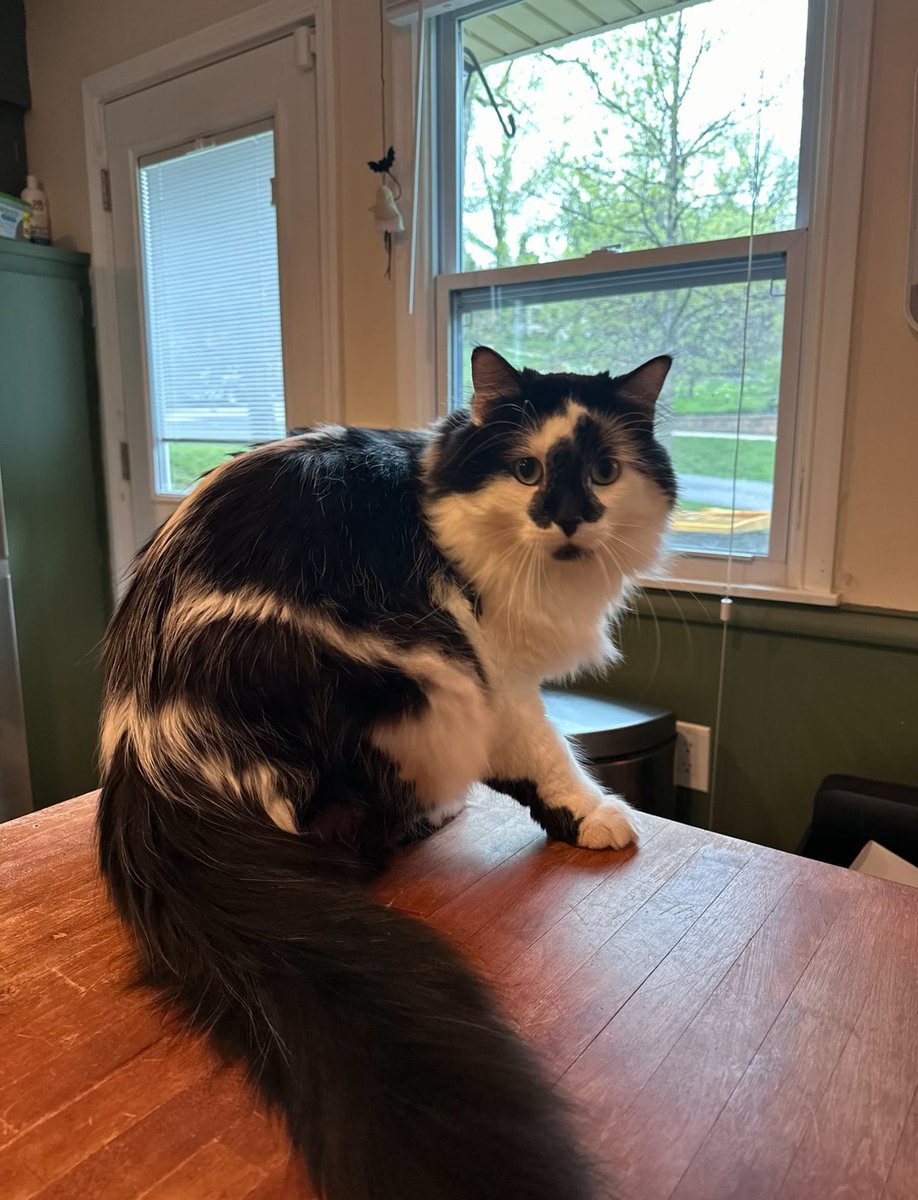 私は恐れていました