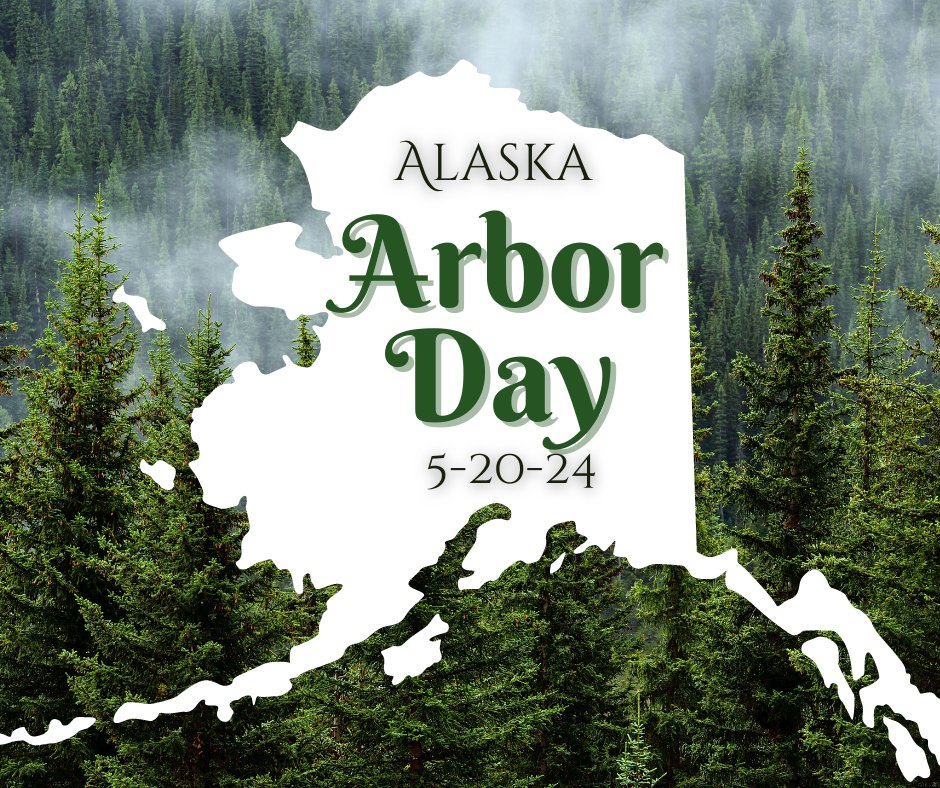 🌲 Celebrate #ArborDay in Alaska on Monday, May 20! To learn more about planting, caring for trees and a list of Arbor Day celebrations around the state visit DOF's Community Forestry Program website: bit.ly/3wC0dTx. 

🌲 Full release details at bit.ly/3WO4yOc