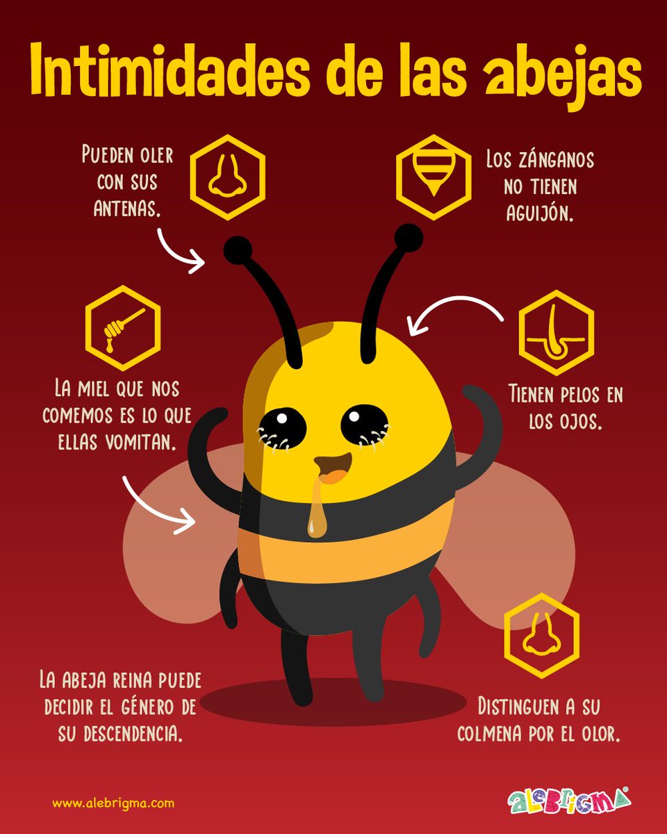 Hoy es el Día Mundial de las Abejas y queremos compartirte algunos datos curiosos de estos maravillosos insectos que nos fascinan.

Encuéntranos en:  alebrigma.com/index.html

Alebrigma, ¡más que un juego, un aprendizaje!

#Abejas #Abeja #Miel #DiaDeLasAbejas