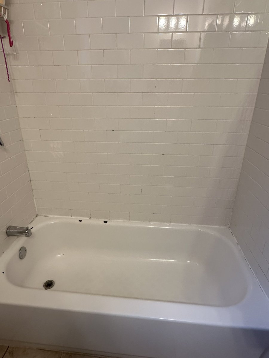 alyssa ⭐️ tweet media