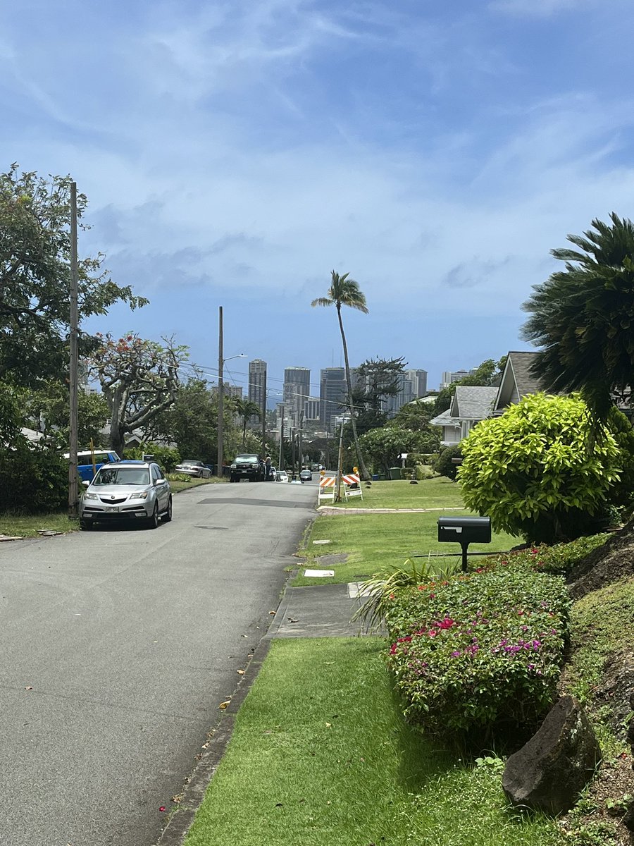 Daniel Vogel tweet media