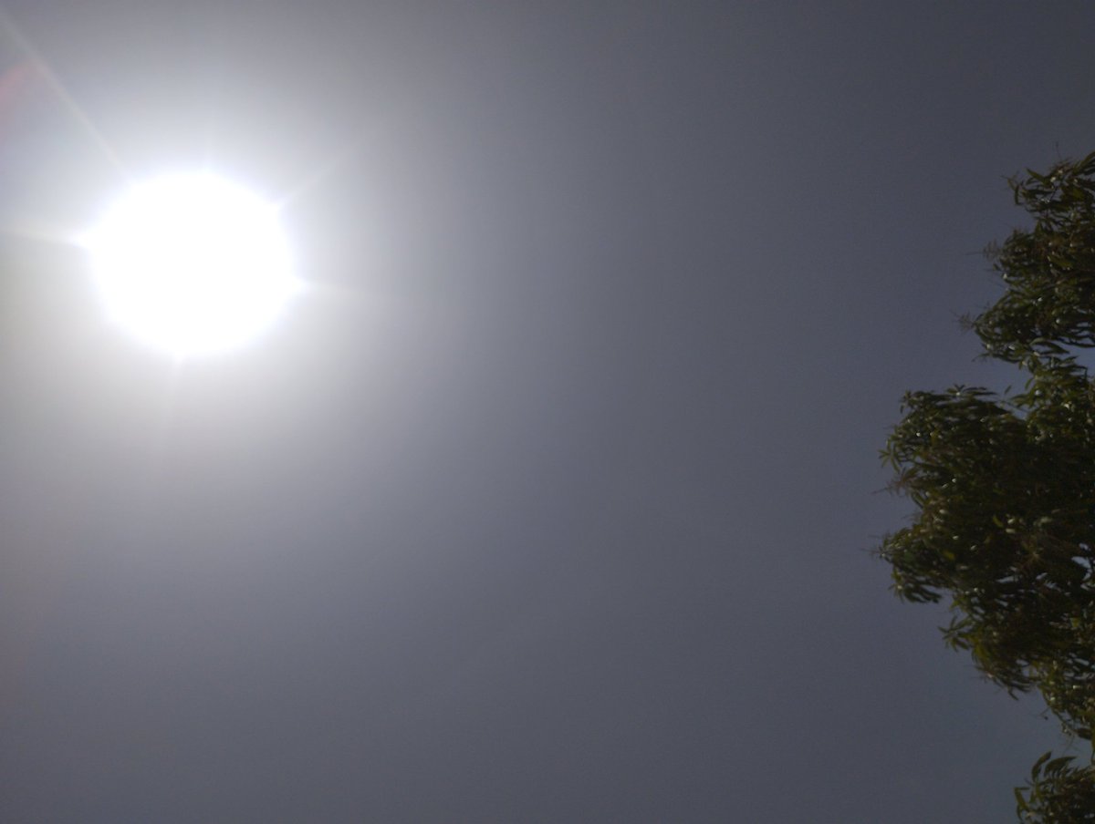 Jamban (@jamban774453) on Twitter photo 