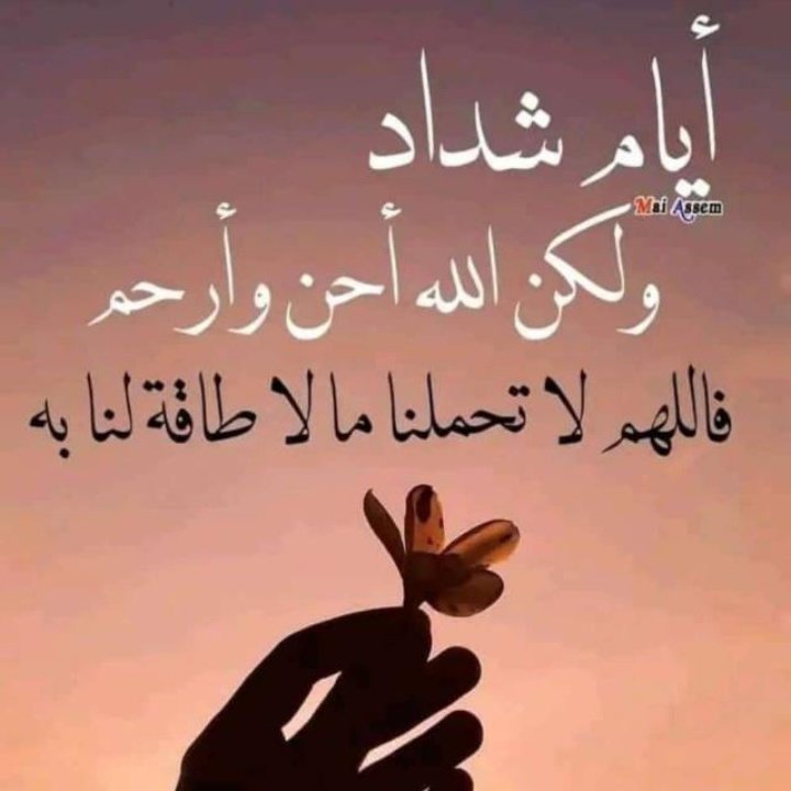 كرار (@malk_alsam14205) on Twitter photo 