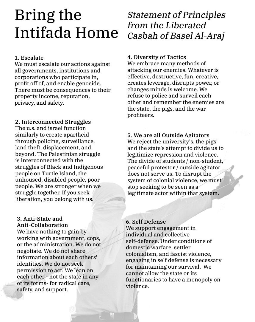 The former institute of politics at the university of chicago is now the Liberated Casbah of Basel Al-Araj! In their principles of unity, they embrace escalation, diversity of tactics, self-defense, anti-collaboration, and the notion that we are all outside agitators 👇