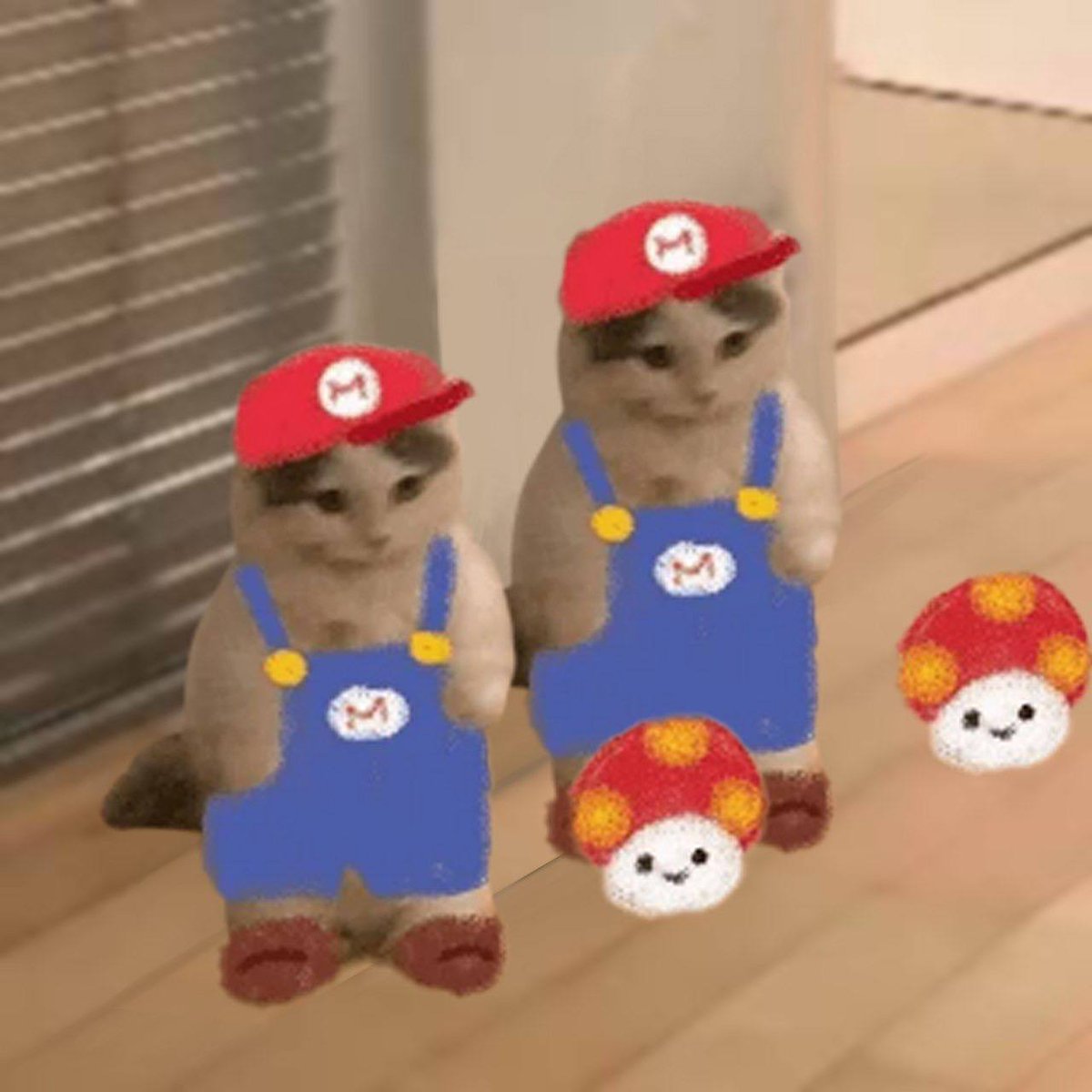 itsa me michi
itsa me michi

#michi2