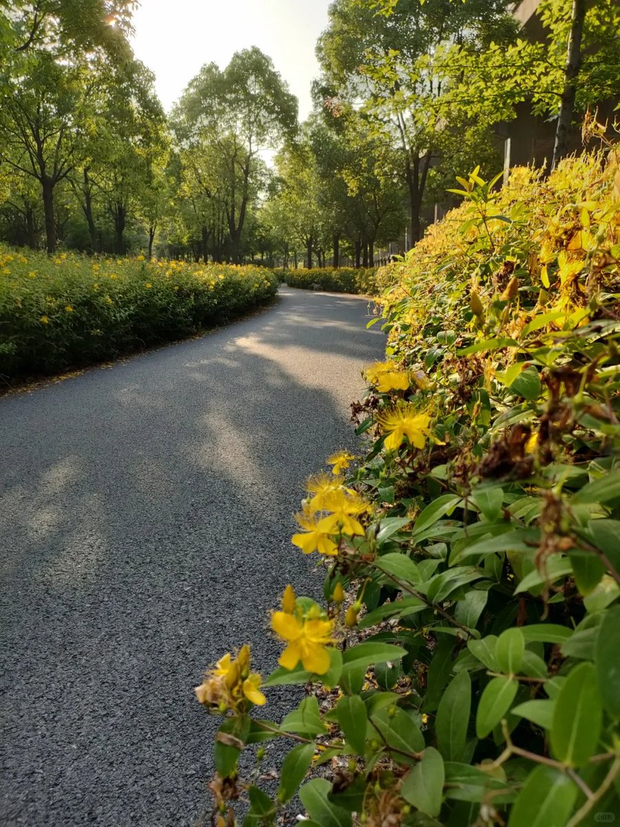 新しい日を迎えて、土曜日の楽しみです🌷