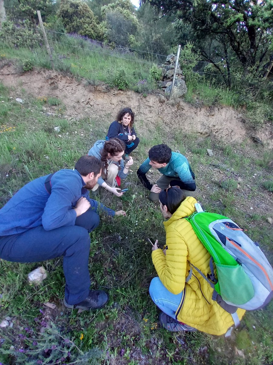 Increíbles jornadas hoy en la Sierra Norte, con charlas, talleres, prsentación de libro d orquídeas y narcisos y salida de campo hasta el anochecer. ¡¡Mañana mucho más!! Hasta que el cuerpo aguante. #Biomaraton2024