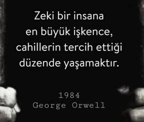 Seda ÇöL (@colseda) on Twitter photo 