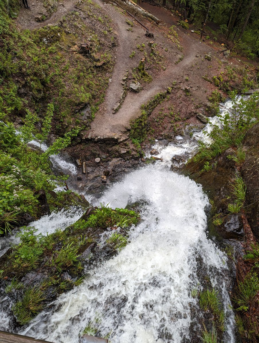Day 8, it rained most of the day today so had a very slow start. But we got 2 more hikes in, at a waterfall and a ski resort. The day ended with the pool party at the lodge!