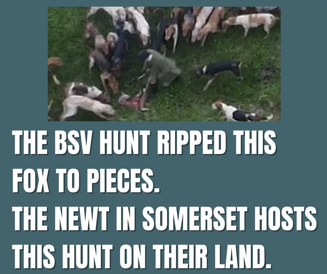 The squeaky clean @thenewtsomerset would rather this image wasn't spread about so you know what to do. RT and join us in asking The Newt in Somerset to publicly ban the BSV Hunt from their hotel for good.