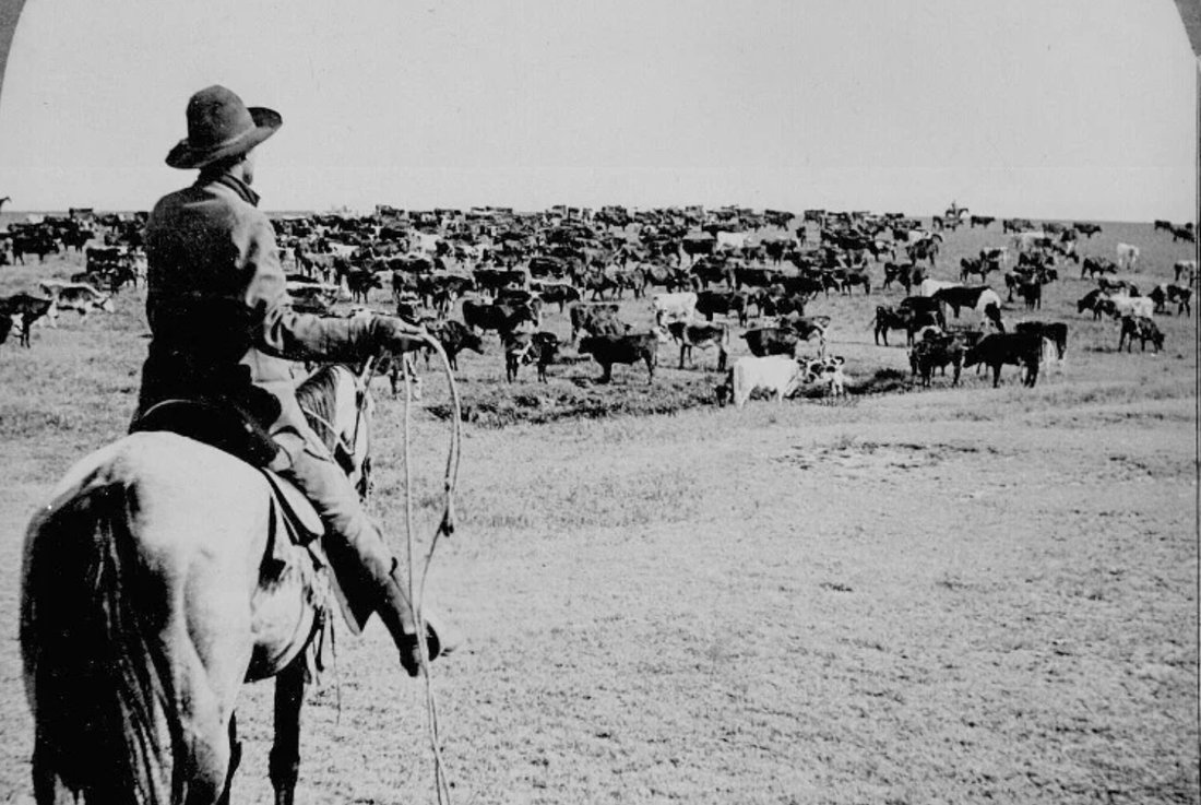 NEW from <a href="/pete_iversen/">Iversen</a>

Justice and Force in the Frontier: The Johnson County War

“When Champion emerged, he attempted a brief dash to safety before being shot 28 times. To his vest a sign reading “Cattle thieves, beware!” was pinned as a warning.”

READ: dissidentreview.com/read/justice-a…