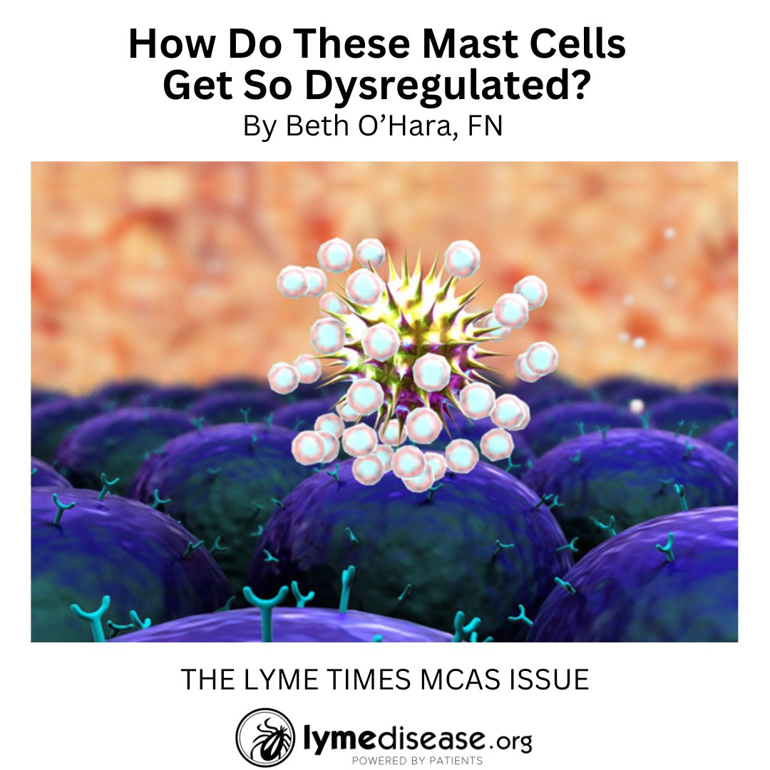 How Do These Mast Cells Get So Dysregulated?
As environmental toxins, pathogens and stress loads pile up, many people's mast cells can no longer keep up.
READ MORE: lymedisease.org/members/lyme-t…  #MCAS