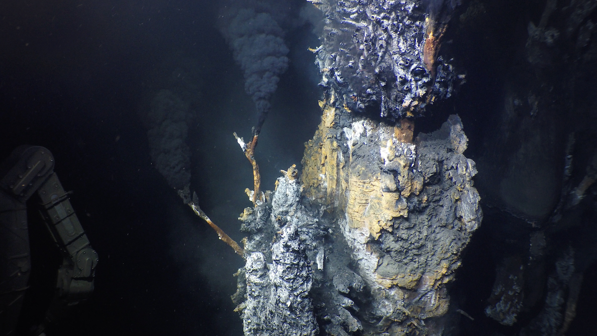 WHOI's tweet photo. Using #HOVAlvin and the #AUVSentry, #WHOI + @LehighU scientists found 5 new hydrothermal vents in the #EPR—emitting fluids as hot as 630°F and teeming with life.
Find out how tech aided the discovery from @PopMech : https://t.co/KymyQ7giO8
📸 funded by @NSF © WHOI
#NSFfunded https://t.co/01qJe8XujM