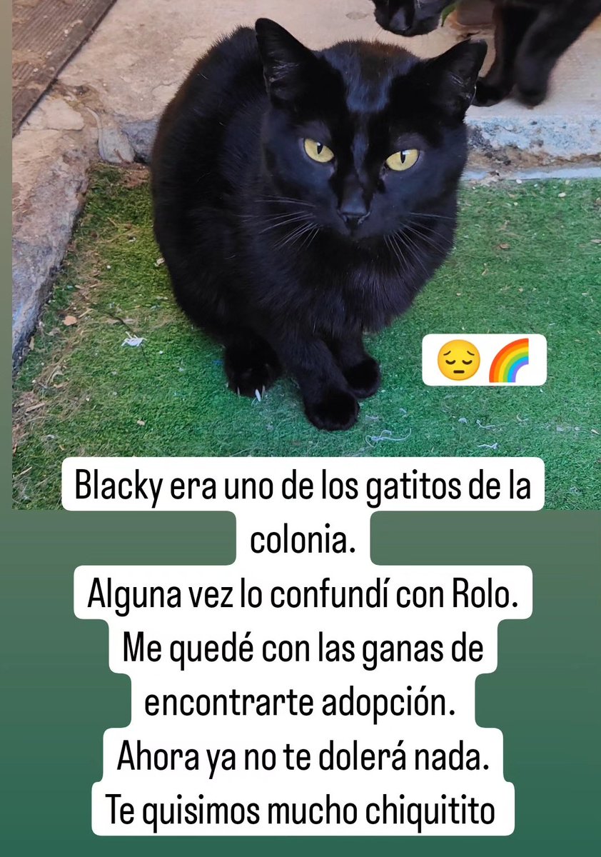 Por favor que pare esto ya.