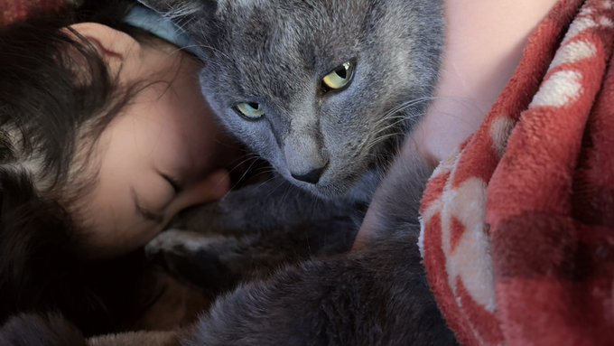 Twitterのコスプレ画像25