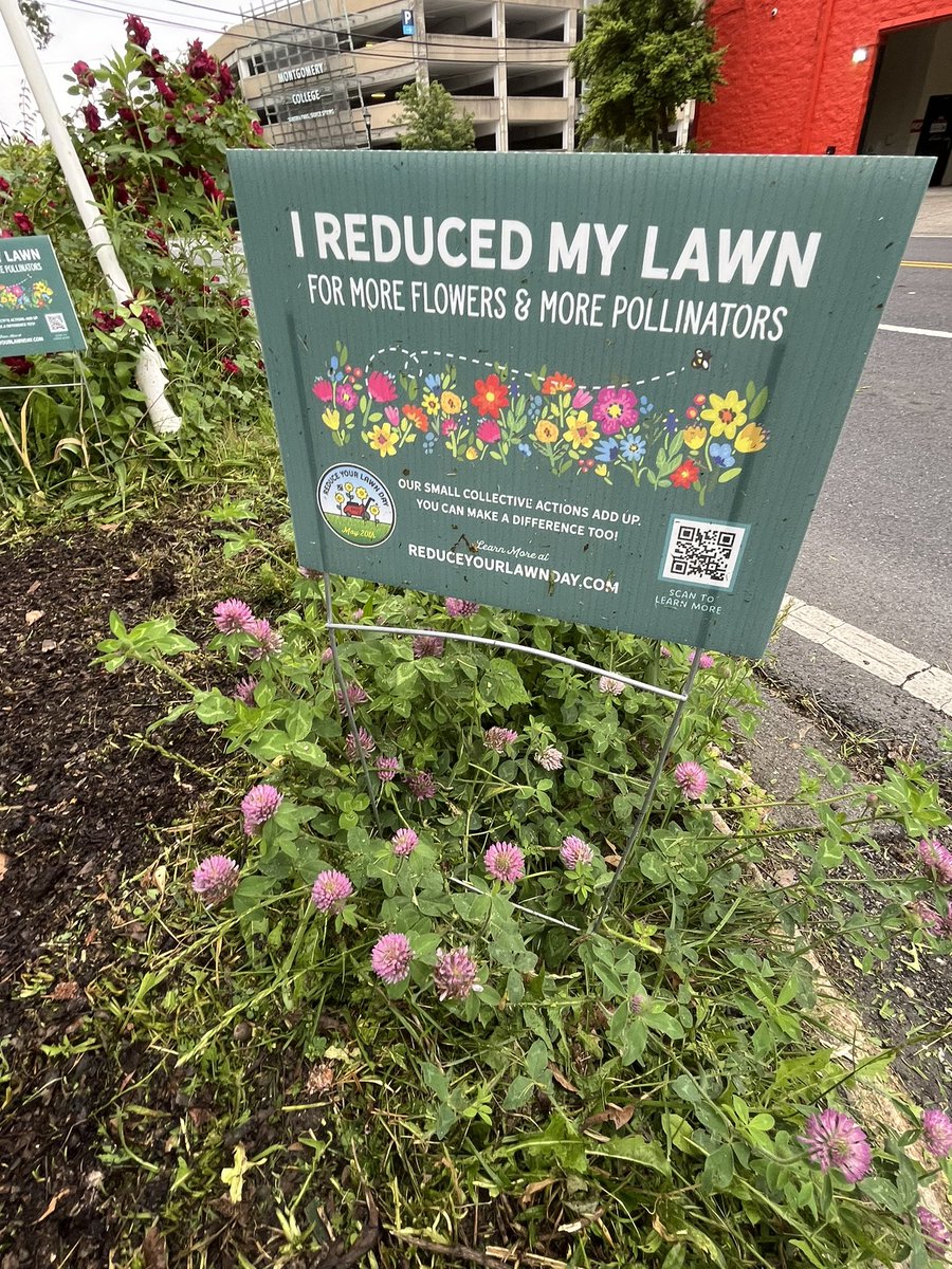The #reduceyourlawnday signs are here! I’m planting red clover in my “hellstrip” for the pollinators. I have a few extras. If you take the pledge at reduceyourlawndat.com and see me at #greenspringgardens big Plant sale tomorrow, I can give you one! #gardendc #reduceyourlawn