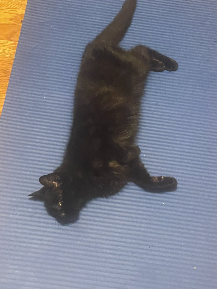 Great yoga mat, very thick very plush
