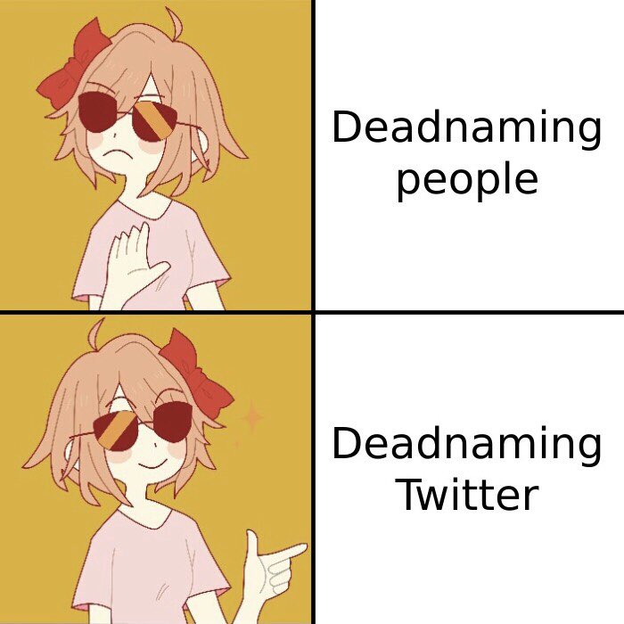 Deadnaming Twitter is the only acceptable form of it 🫡