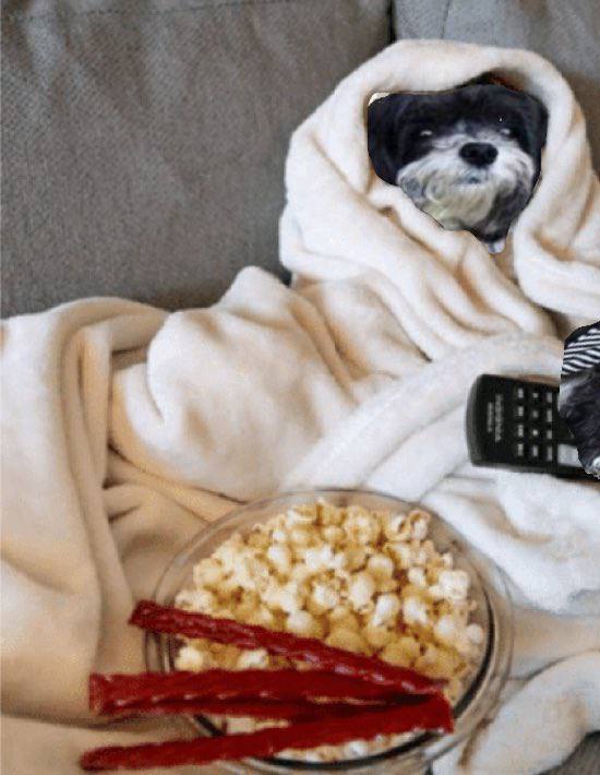 marvindogbase's tweet image. $MARVIN Good Morning Asian Bros

#MARVINTHEMARTIAN #ELONMUSK #SPACEX