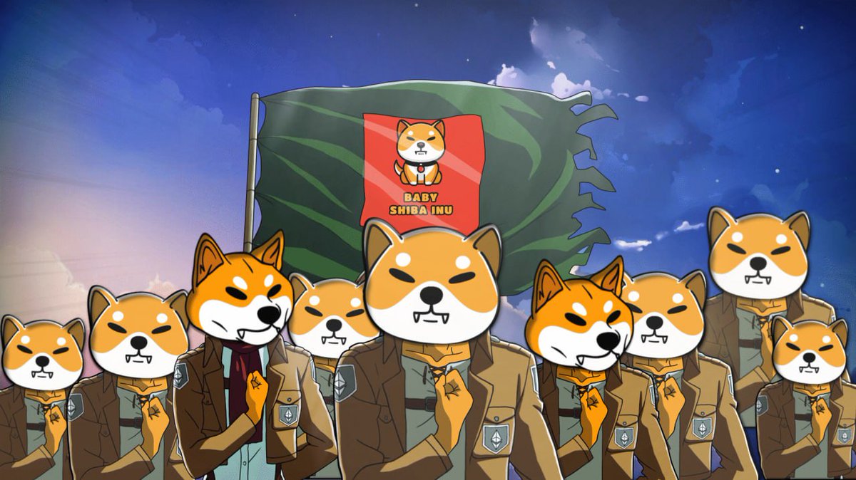 One vision, one mission. 

Together, nothing can hold us back! 🐕 

#Babyshib #Babyshibarmy #Shiba #Shib #Babydoge