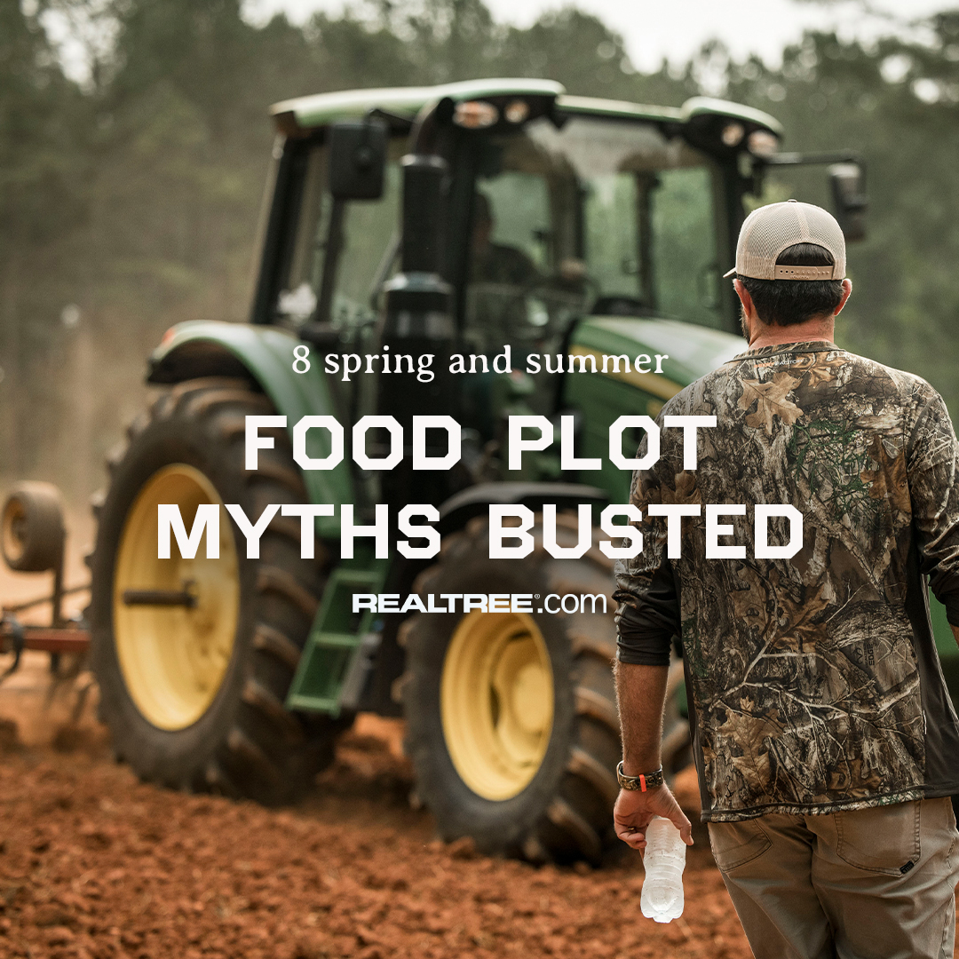 Despite being a science-based undertaking, wildlife food plots carry plenty of popular misconceptions. That seems to be especially true with spring and summer plots. Link to learn more: realtree.me/4dLLcPO #Realtree