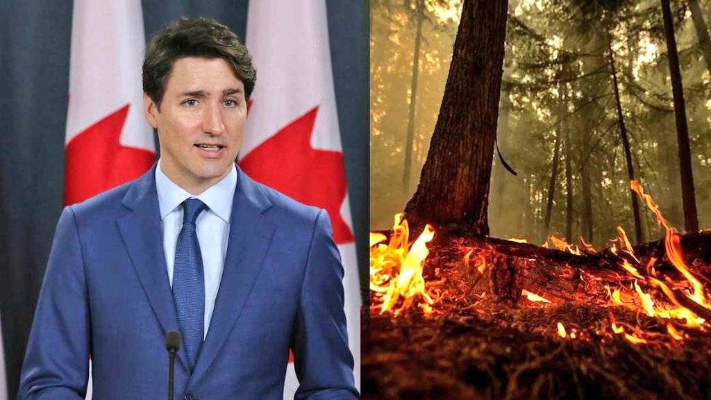 For years, wildfires have been caused by only two things - lightning or humans - but my Government has discovered a third cause. Warm temperatures. If the air is warm near a tree it will spontaneously catch fire, especially in Alberta where they don't pay enough climate taxes.