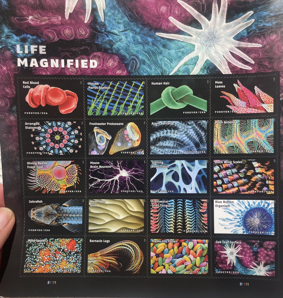 My daughter knows me so well. She went to the post office to mail a package and brought me this gift 💝