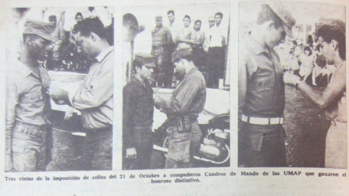 Estima-se que cerca de 800 homossexuais foram internados nas chamadas Unidades Militares de Ajuda à Produção (UMAPs) — campos correcionais com uso de trabalho compulsório. Essas unidades operaram em Cuba durante três anos, entre 1965 e 1968. 5/29