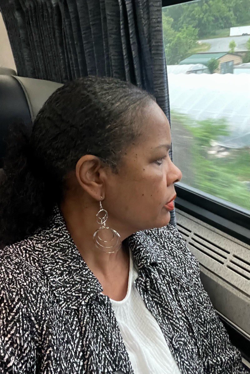 I love the train! My ancestors come back to me. I think about their trips “down south” to visit us. #myancestorswildestdreams