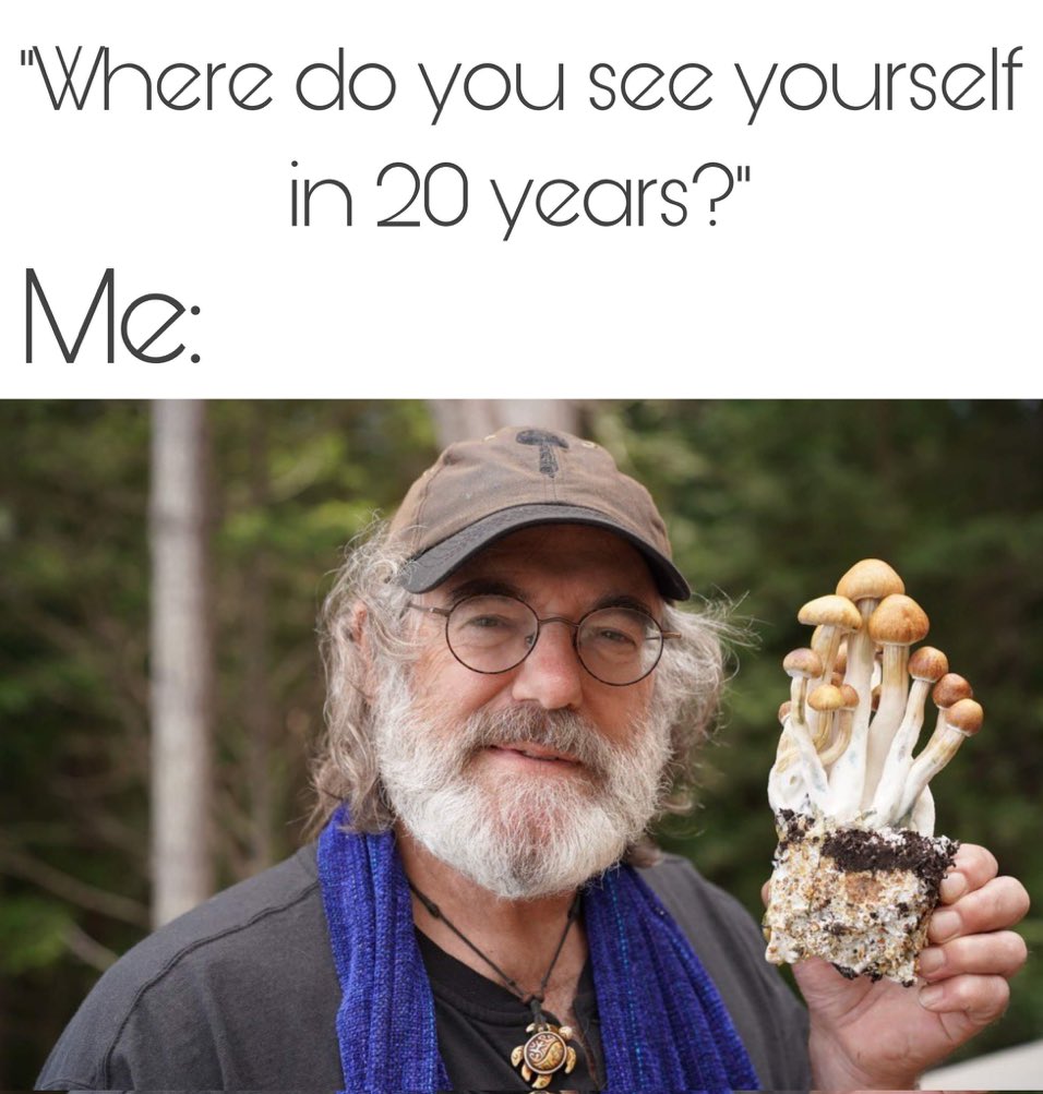 Paul Stamets is a psychonaut among psychonauts. Dude has a strain of mushrooms named after him! 👨‍🚀🍄
