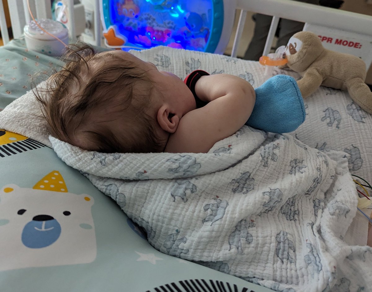 We have a new date for Gus' open heart surgery. He is scheduled (second attempt) for this Monday, May 20. He'll go in around 8 am. After prep, surgery will probably begin around 9 am. It will be a long day. The goal is to repair his tricuspid valve as much as possible and reduce