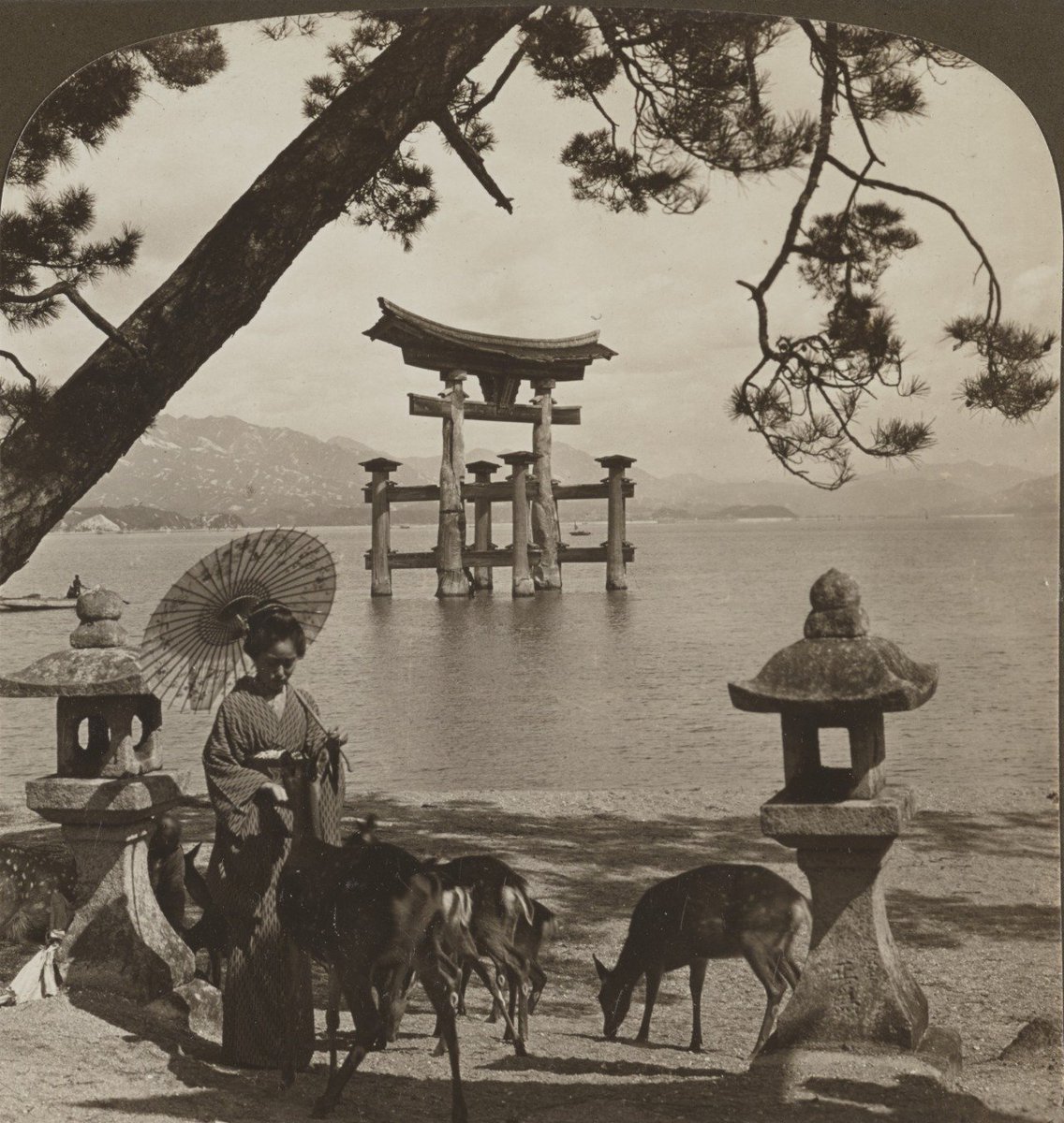 Miyajima Adası (1905).