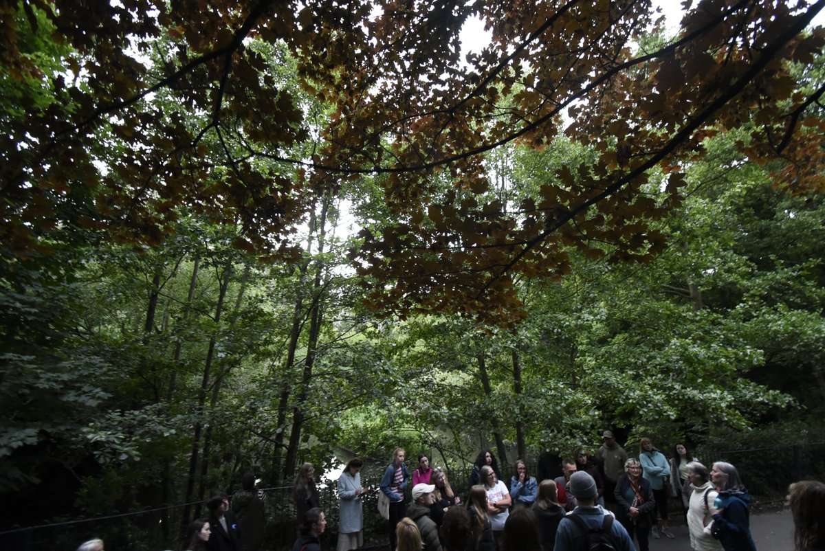 Sefton Park Bat Walk! Come & join us for a bat walk for Sefton Park's 152nd birthday - Mon 20th May 830-10pm Our bat expert will guide us with bat detectors to bat haunts of Sefton Park & we'll also feed the new hatchling birds on the lake. Ticket info: eventbrite.co.uk/e/sefton-park-…