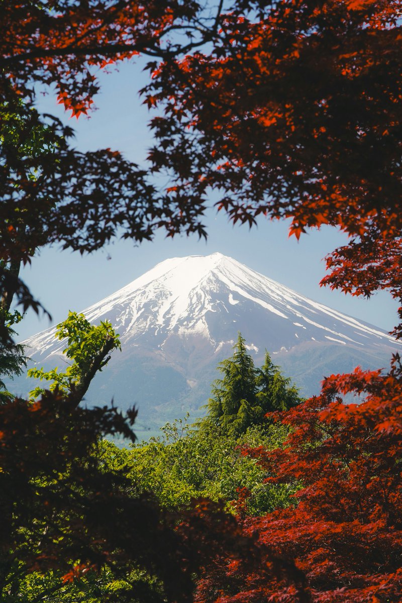 #MountFuji #Japan #nature #autumn #travel #scenic #explore #adventure #beautiful #landscape