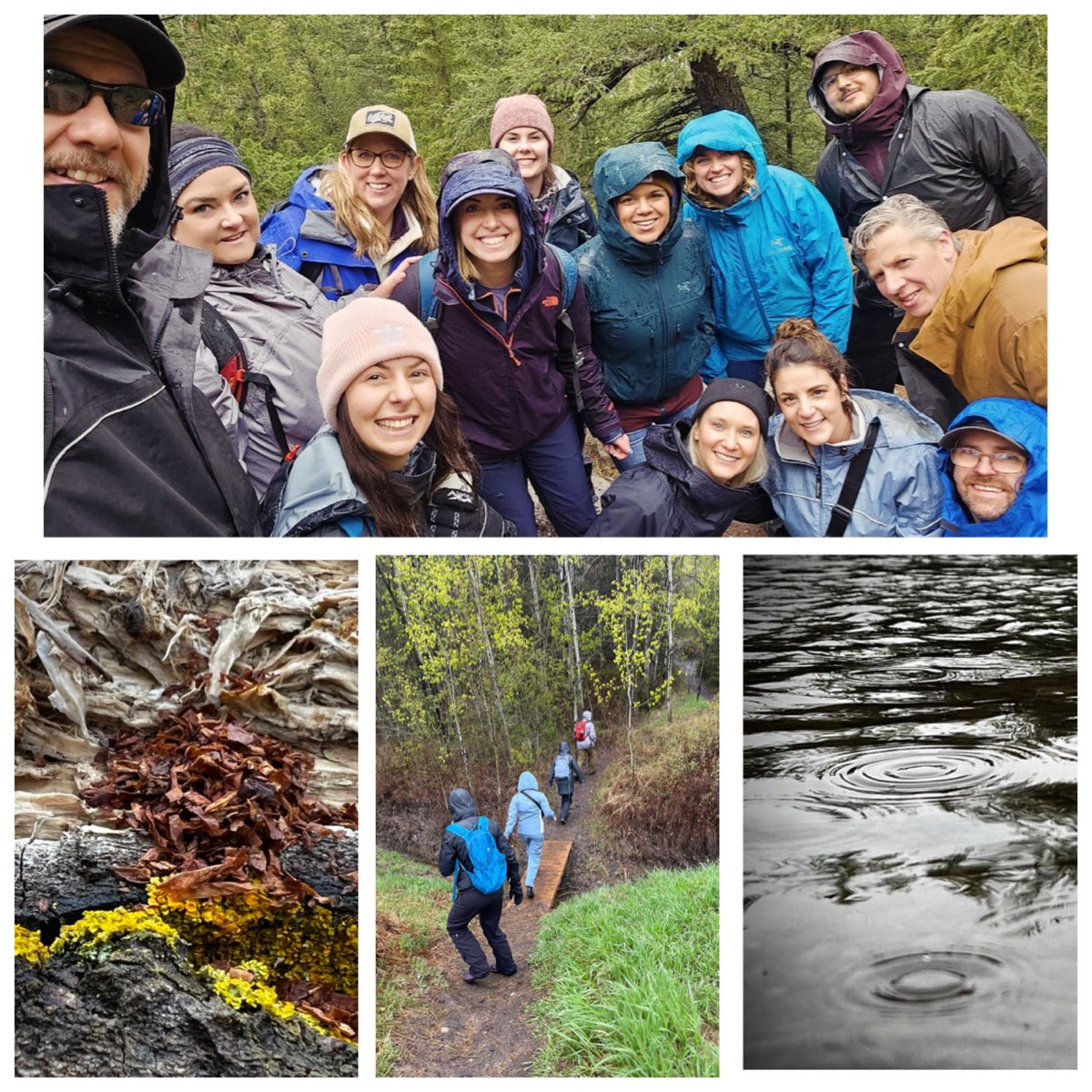 glendalecbe's tweet image. It was a powerful morning of learning on the land, and we were glad to be honouring or commitment to Truth and Reconciliation through Education. Our hearts, minds, bodies and spirits were held by the trees today 💚 #rootsandbranches #learningincommunity