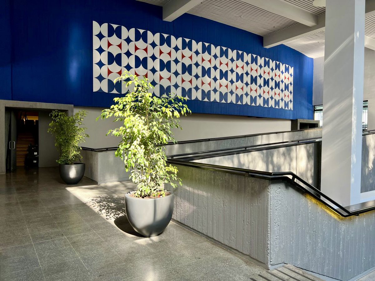 Ibacache's tweet image. Nuevas compañeras de trabajo 🪴 🌱 
#CEINA