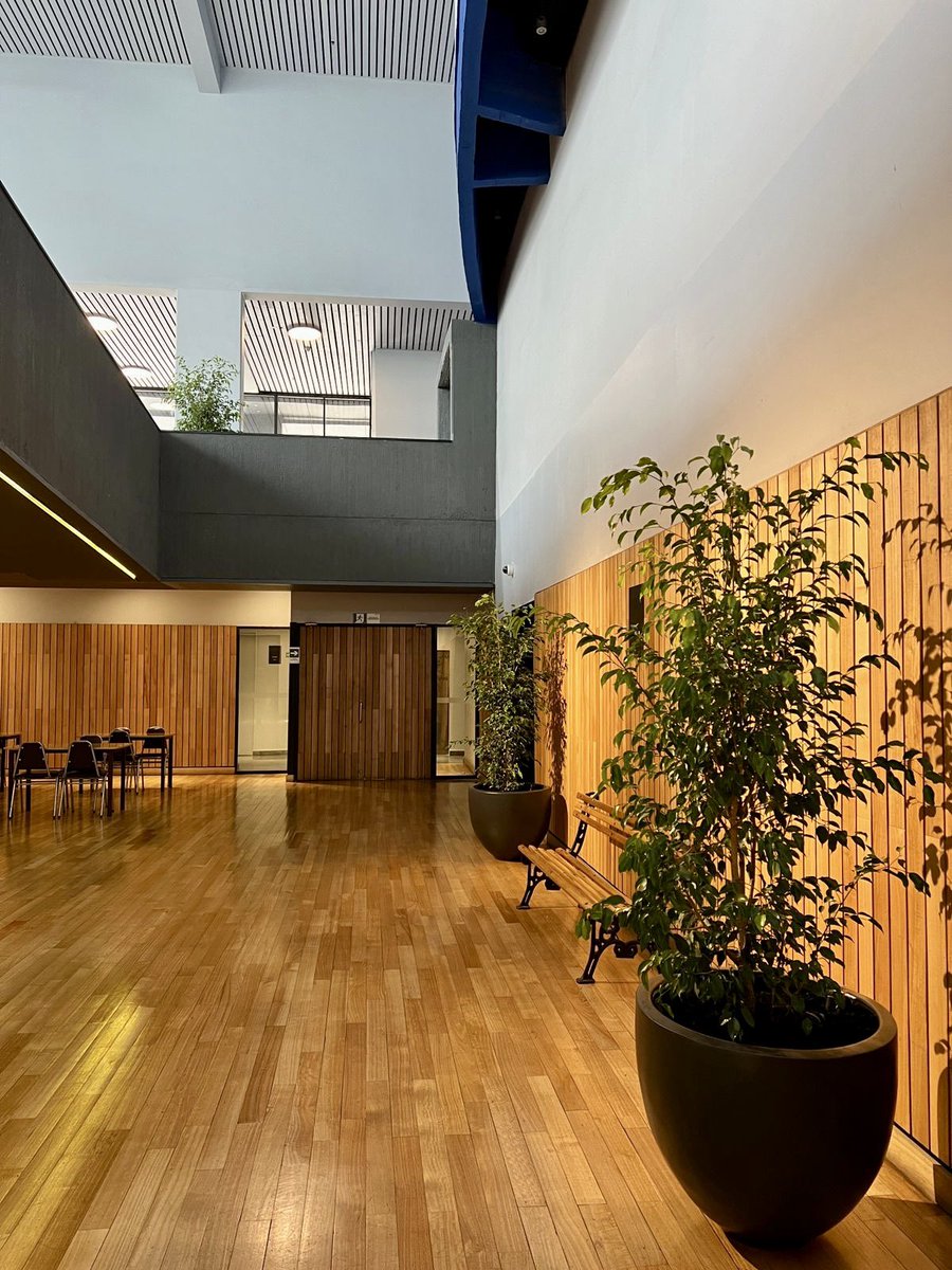 Ibacache's tweet image. Nuevas compañeras de trabajo 🪴 🌱 
#CEINA