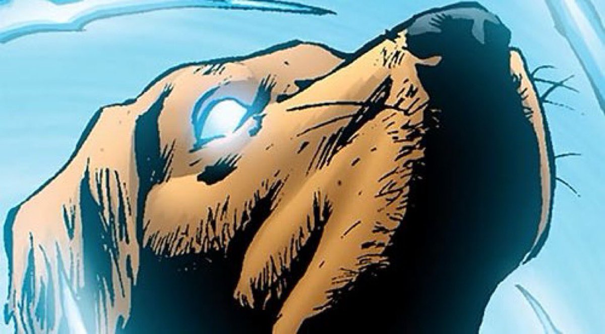 ChiefOfKnowhere's tweet image. Paws pressed firm against the window, his snout is forming a heavy fog of condensation he knows Comrade Star-Lord (@RiseOfZiggyStar) will later scold him for. 

Yet, the Chief was on high alert. Something was deeply troubling him. 

Something…𝐴𝐿𝐼𝑉𝐸.