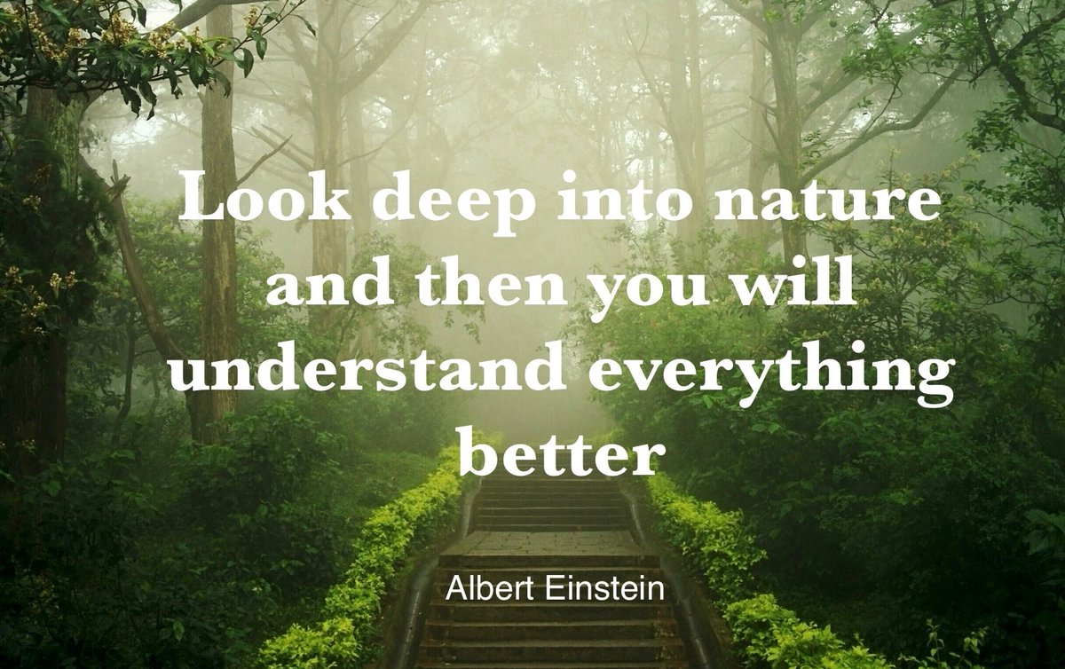 Pagan Dawn magazine (@pagandawnmag) on Twitter photo 