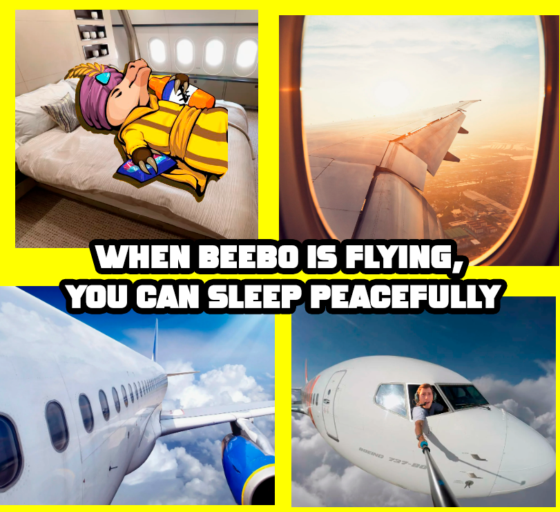 EvgeniyTaras's tweet photo. @MikeyTrading If you suddenly want to fly, you can be sure that we have the best pilots on board Beebo Airlines powered by @SKYKINGBEEBO . 
We have the best ticket discounts right now. Check out the chart! https://t.co/bCuOQBF2Lo