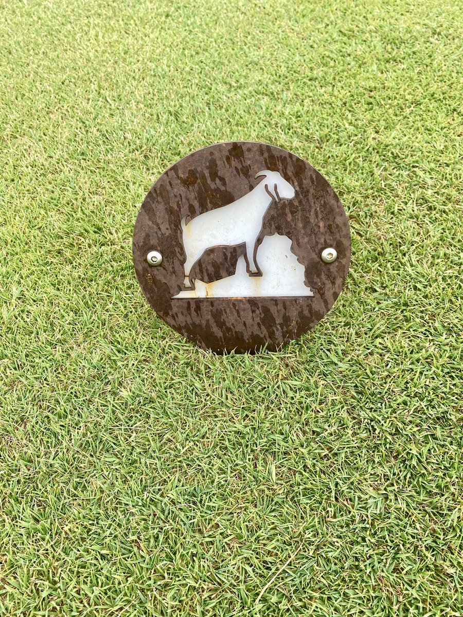 DWIGHT ⛳️🎯🐶🏈 tweet media