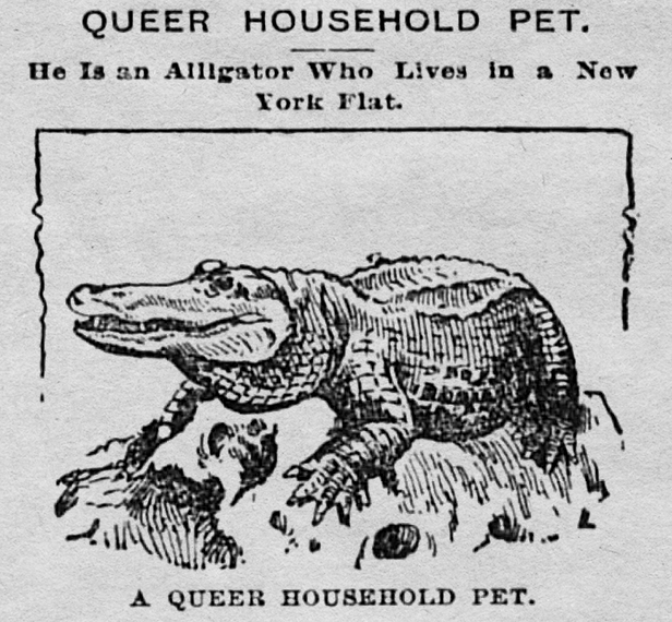 Perrysburg Journal, Ohio, May 18, 1895