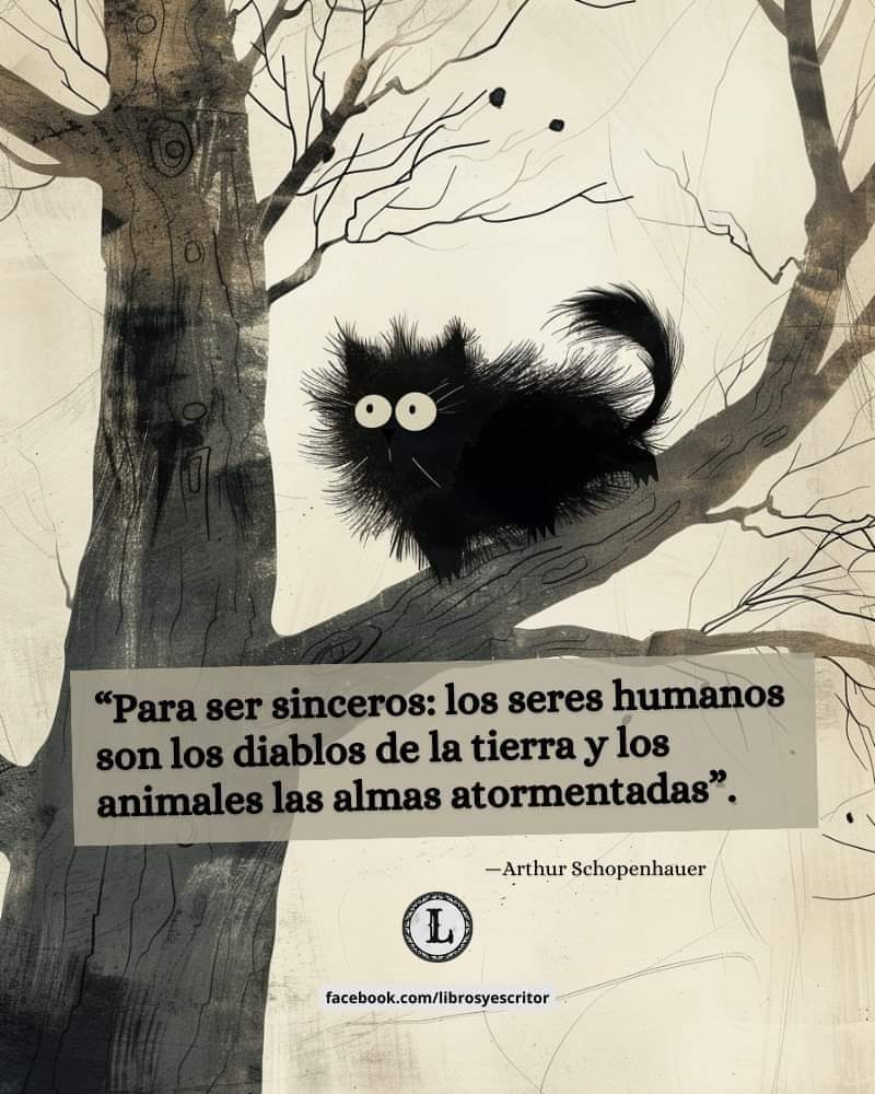 Y si ... Los animales no nos merecen ...