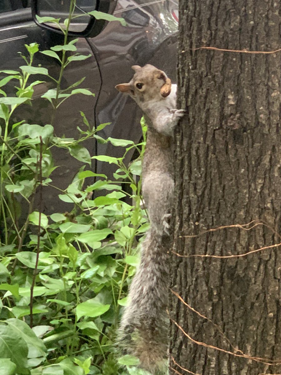 sophie (@sophpoindexter) on Twitter photo 